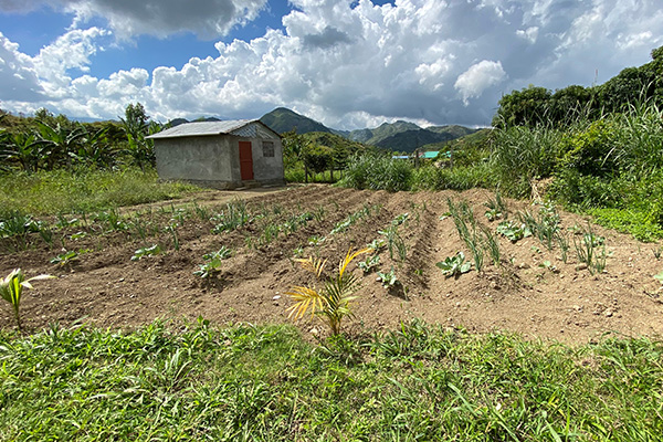 Haiti Mission Trip